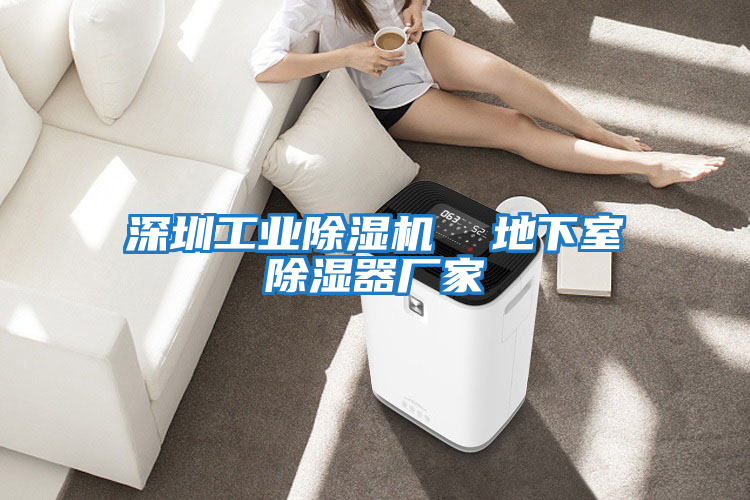 深圳工業(yè)除濕機  地下室除濕器廠(chǎng)家
