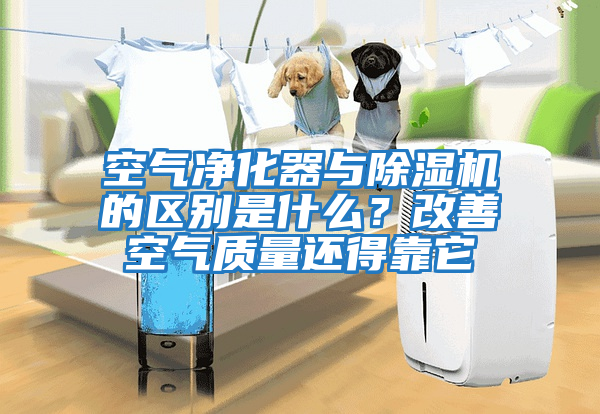 空氣凈化器與除濕機的區別是什么？改善空氣質(zhì)量還得靠它