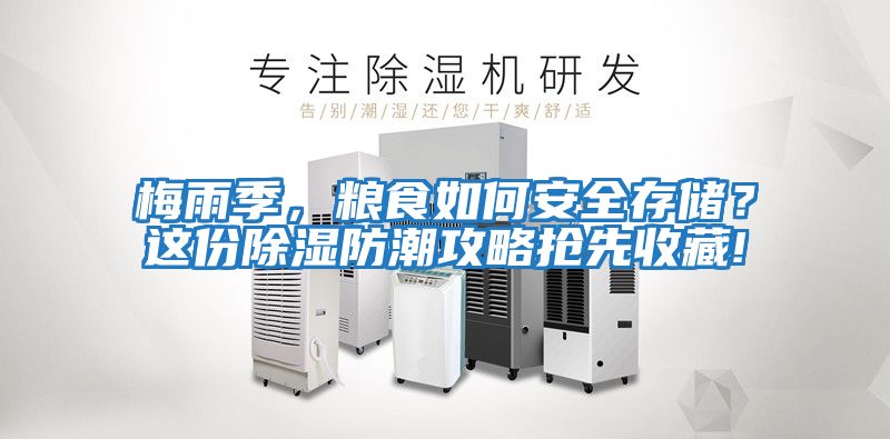 梅雨季，糧食如何安全存儲？這份除濕防潮攻略搶先收藏!