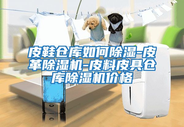 皮鞋倉庫如何除濕-皮革除濕機-皮料皮具倉庫除濕機價(jià)格