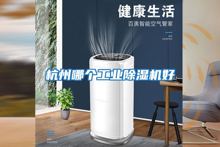 杭州哪個(gè)工業(yè)除濕機好