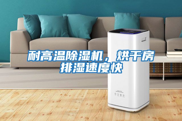 耐高溫除濕機，烘干房排濕速度快