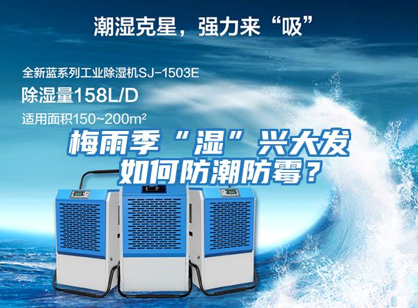 梅雨季“濕”興大發(fā) 如何防潮防霉？
