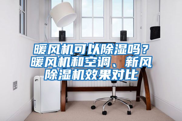 暖風(fēng)機可以除濕嗎？暖風(fēng)機和空調、新風(fēng)除濕機效果對比