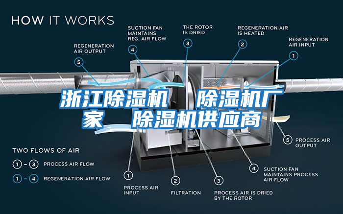 浙江除濕機  除濕機廠(chǎng)家  除濕機供應商