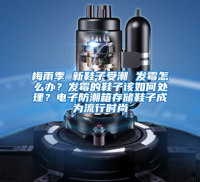 梅雨季 新鞋子受潮 發(fā)霉怎么辦？發(fā)霉的鞋子該如何處理？電子防潮箱存儲鞋子成為流行時(shí)尚