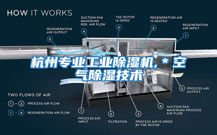 杭州專(zhuān)業(yè)工業(yè)除濕機,＊空氣除濕技術(shù)
