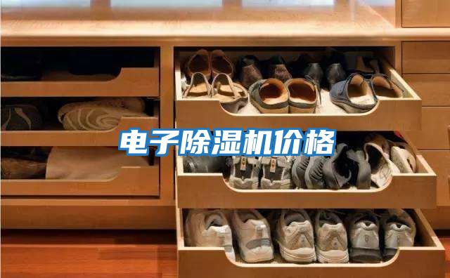 電子除濕機價(jià)格