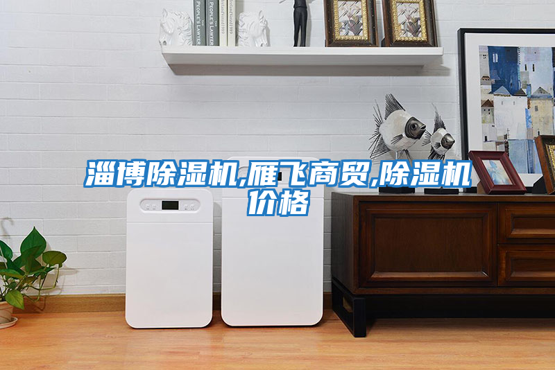 淄博除濕機,雁飛商貿,除濕機價(jià)格