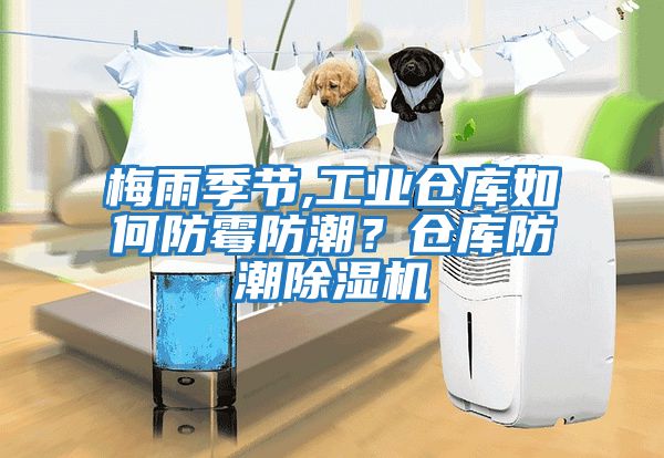 梅雨季節,工業(yè)倉庫如何防霉防潮？倉庫防潮除濕機