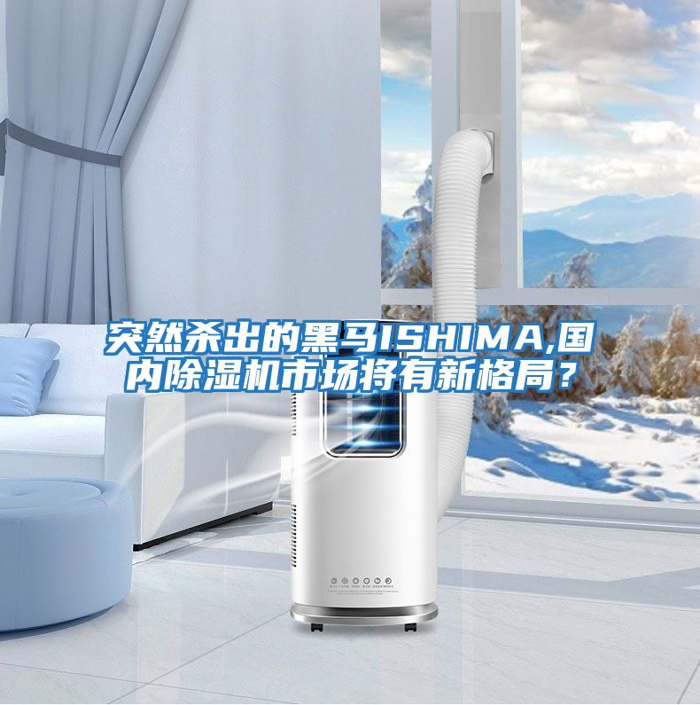 突然殺出的黑馬ISHIMA,國內除濕機市場(chǎng)將有新格局？