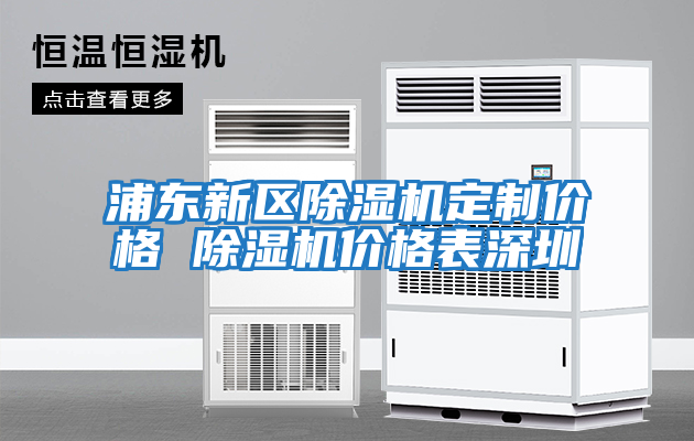 浦東新區除濕機定制價(jià)格 除濕機價(jià)格表深圳