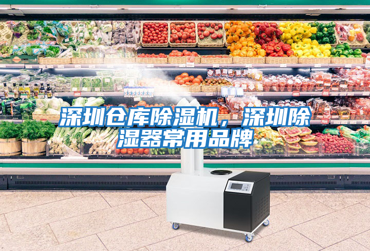 深圳倉庫除濕機，深圳除濕器常用品牌