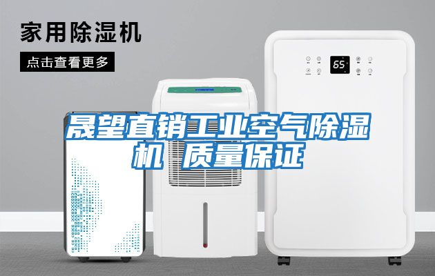 晟望直銷(xiāo)工業(yè)空氣除濕機 質(zhì)量保證
