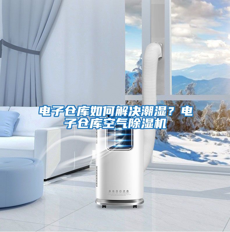 電子倉庫如何解決潮濕？電子倉庫空氣除濕機