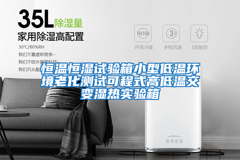 恒溫恒濕試驗箱小型低溫環(huán)境老化測試可程式高低溫交變濕熱實(shí)驗箱