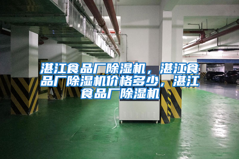 湛江食品廠(chǎng)除濕機，湛江食品廠(chǎng)除濕機價(jià)格多少，湛江食品廠(chǎng)除濕機