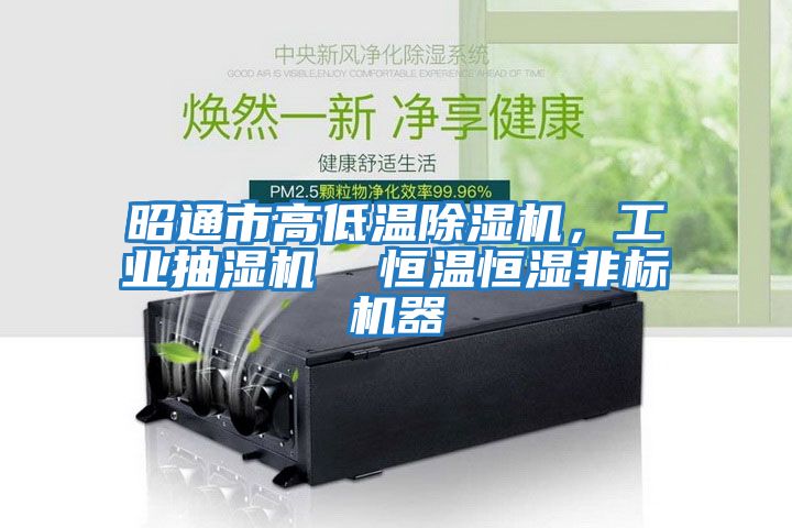 昭通市高低溫除濕機，工業(yè)抽濕機  恒溫恒濕非標機器
