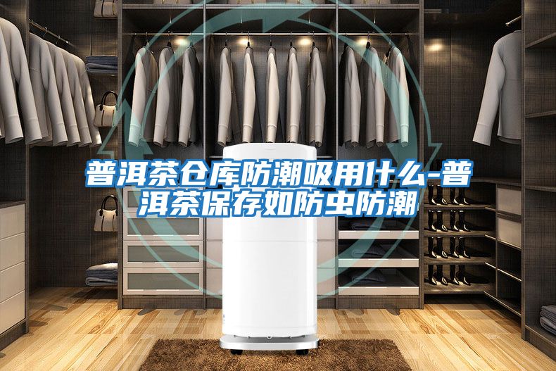 普洱茶倉庫防潮吸用什么-普洱茶保存如防蟲(chóng)防潮