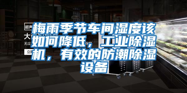 梅雨季節車(chē)間濕度該如何降低，工業(yè)除濕機，有效的防潮除濕設備