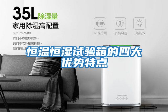 恒溫恒濕試驗箱的四大優(yōu)勢特點(diǎn)