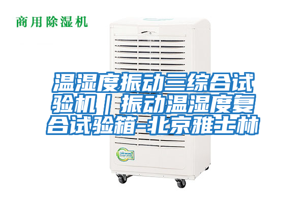 溫濕度振動(dòng)三綜合試驗機｜振動(dòng)溫濕度復合試驗箱-北京雅士林