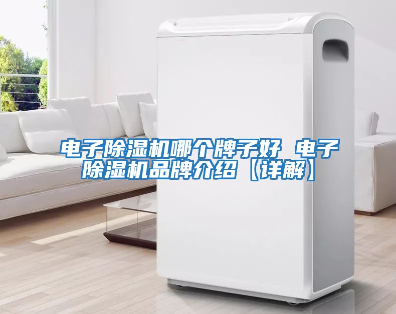 電子除濕機哪個(gè)牌子好 電子除濕機品牌介紹【詳解】