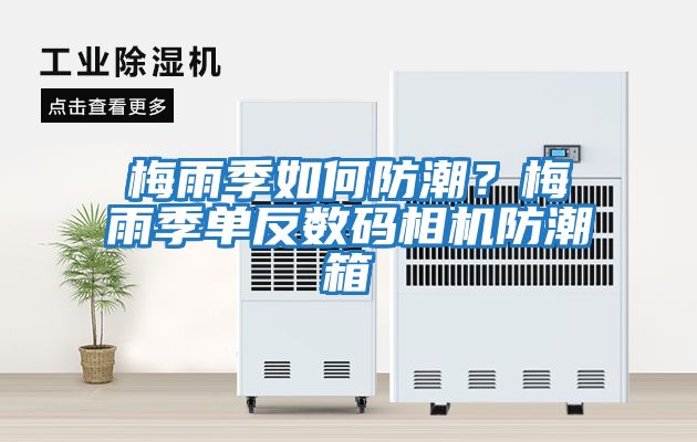 梅雨季如何防潮？梅雨季單反數碼相機防潮箱