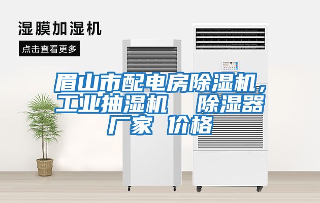 眉山市配電房除濕機，工業(yè)抽濕機  除濕器廠(chǎng)家 價(jià)格