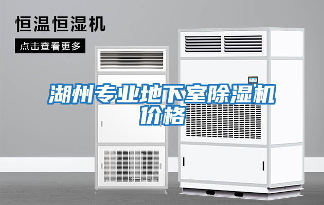 湖州專(zhuān)業(yè)地下室除濕機價(jià)格