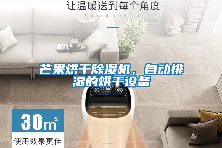 芒果烘干除濕機，自動(dòng)排濕的烘干設備