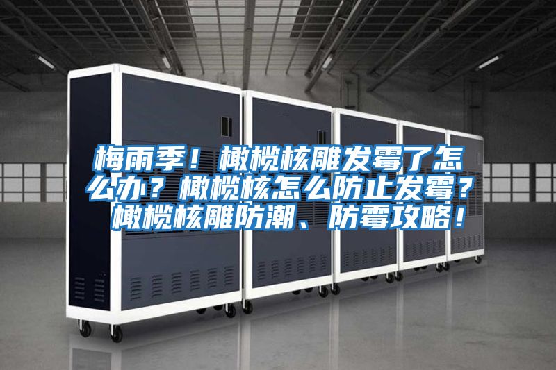 梅雨季！橄欖核雕發(fā)霉了怎么辦？橄欖核怎么防止發(fā)霉？ 橄欖核雕防潮、防霉攻略！