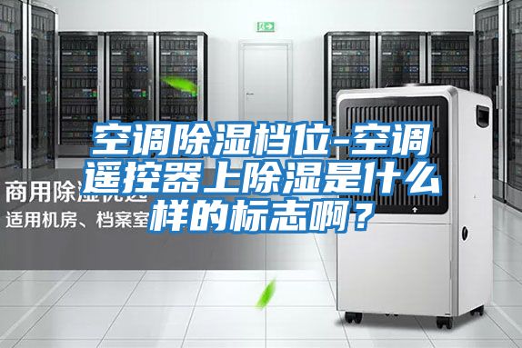 空調除濕檔位-空調遙控器上除濕是什么樣的標志??？