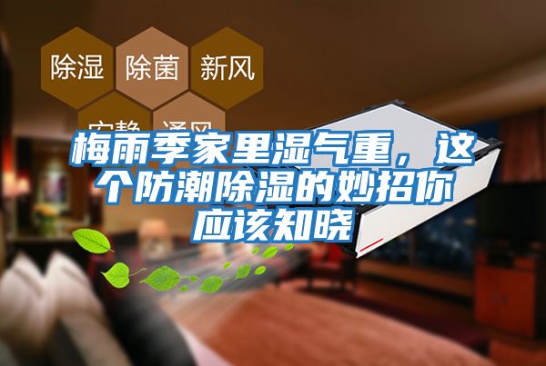 梅雨季家里濕氣重，這個(gè)防潮除濕的妙招你應該知曉