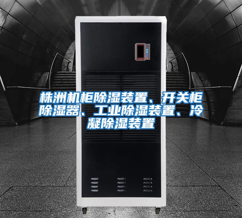 株洲機柜除濕裝置、開(kāi)關(guān)柜除濕器、工業(yè)除濕裝置、冷凝除濕裝置