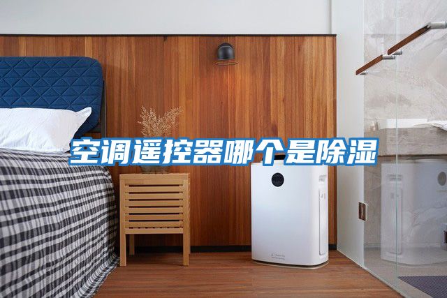 空調遙控器哪個(gè)是除濕