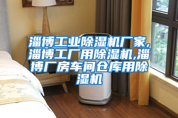 淄博工業(yè)除濕機廠(chǎng)家,淄博工廠(chǎng)用除濕機,淄博廠(chǎng)房車(chē)間倉庫用除濕機