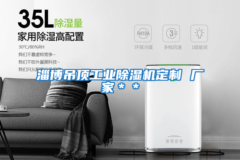 淄博吊頂工業(yè)除濕機定制 廠(chǎng)家＊＊