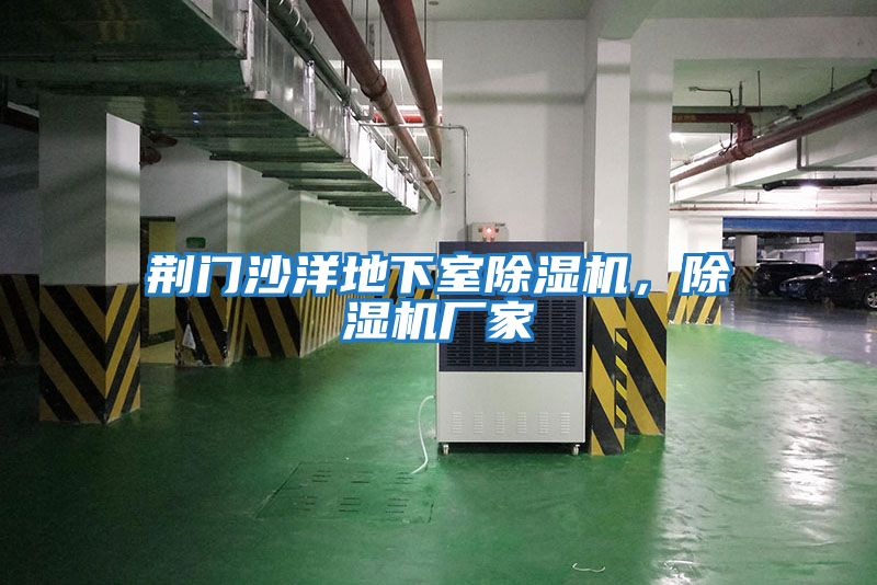 荊門(mén)沙洋地下室除濕機，除濕機廠(chǎng)家