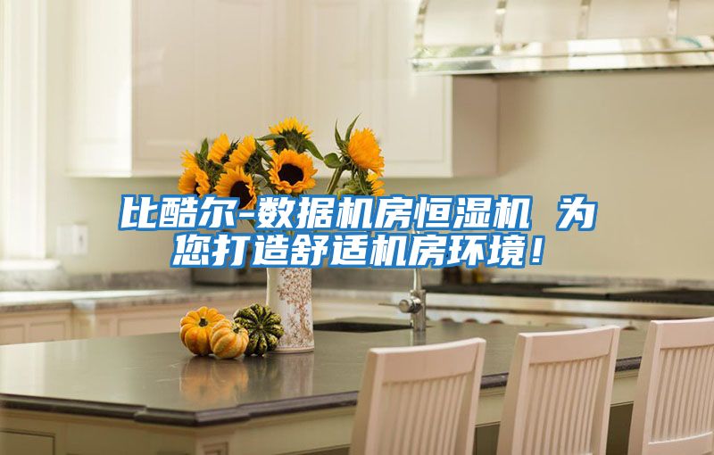 比酷爾-數據機房恒濕機 為您打造舒適機房環(huán)境！