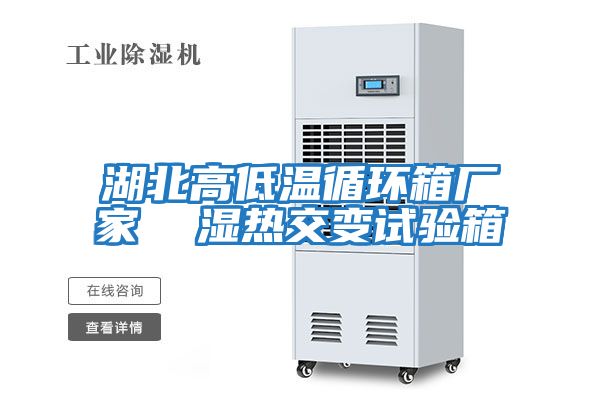 湖北高低溫循環(huán)箱廠(chǎng)家  濕熱交變試驗箱
