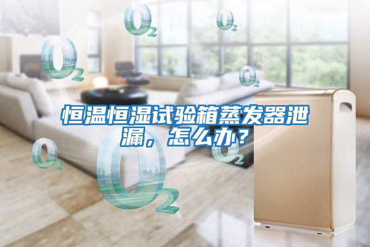 恒溫恒濕試驗箱蒸發(fā)器泄漏，怎么辦？