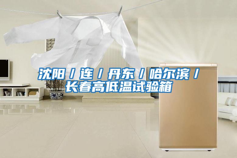 沈陽(yáng)／連／丹東／哈爾濱／長(cháng)春高低溫試驗箱