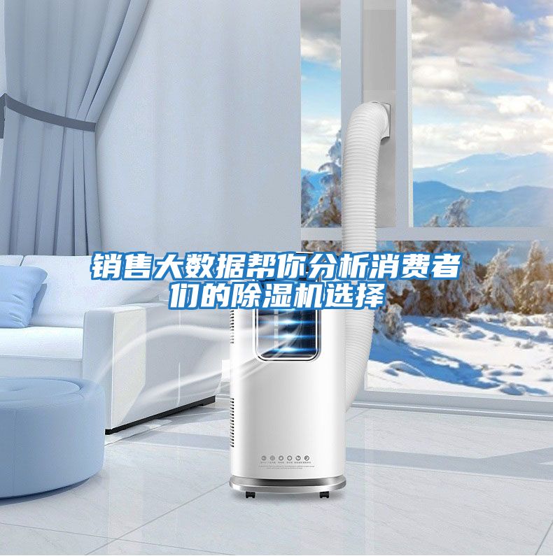 銷(xiāo)售大數據幫你分析消費者們的除濕機選擇