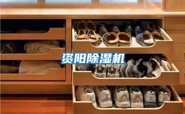 資陽(yáng)除濕機