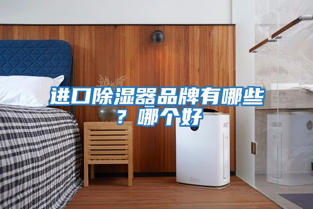 進(jìn)口除濕器品牌有哪些？哪個(gè)好