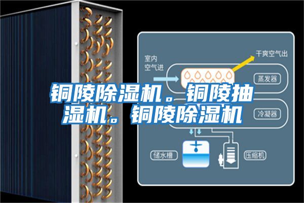 銅陵除濕機。銅陵抽濕機。銅陵除濕機