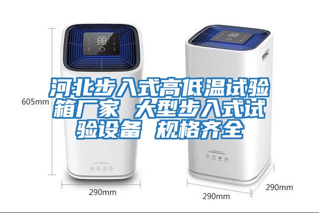 河北步入式高低溫試驗箱廠(chǎng)家 大型步入式試驗設備 規格齊全
