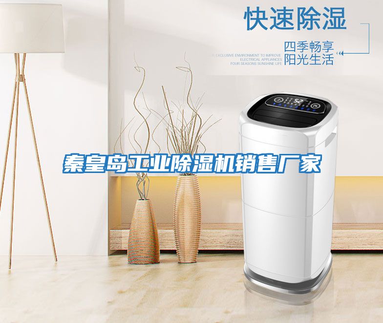 秦皇島工業(yè)除濕機銷(xiāo)售廠(chǎng)家