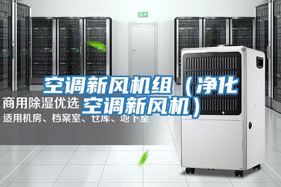 空調新風(fēng)機組（凈化空調新風(fēng)機）